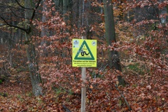 Winterlaufserie 2025_Lauf1